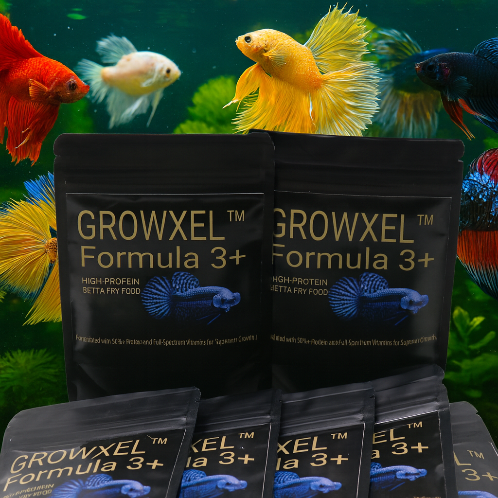 GROWXEL™ Formula 3+ Betta Fry Food